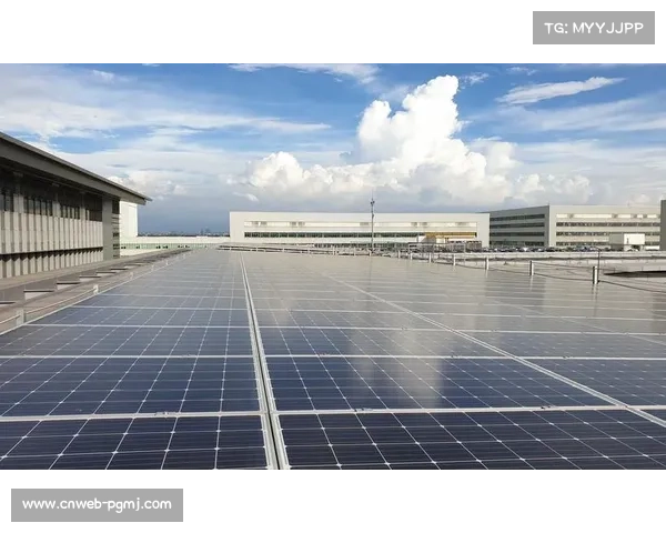 温网采用IBM Envizi平台，追踪碳排放推进2030净零目标